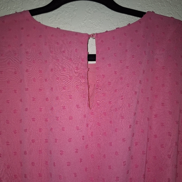 Eesome  Pink Swiss Dot Overlay Stretch Waist Ruffle Sleeve Dress Size Small - Picture 7 of 10
